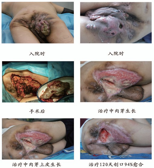 不朽情缘(中国)官方网站入口