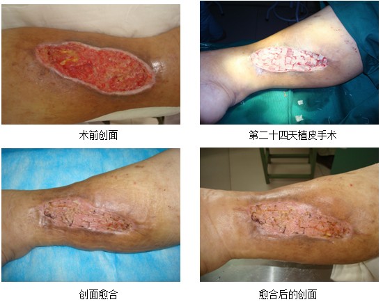 不朽情缘(中国)官方网站入口