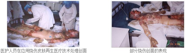 不朽情缘(中国)官方网站入口