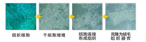 不朽情缘(中国)官方网站入口