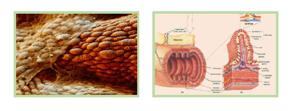 不朽情缘(中国)官方网站入口