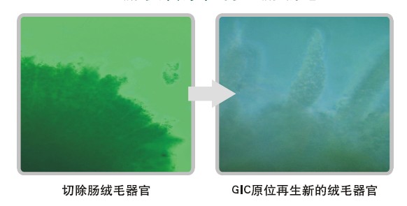 不朽情缘(中国)官方网站入口