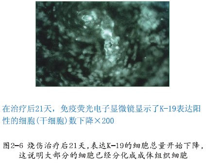 不朽情缘(中国)官方网站入口