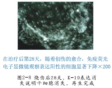 不朽情缘(中国)官方网站入口