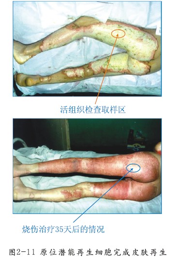 不朽情缘(中国)官方网站入口