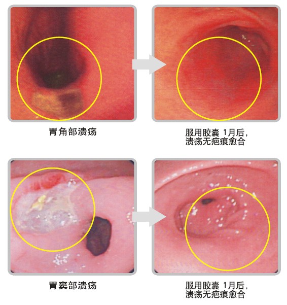 不朽情缘(中国)官方网站入口
