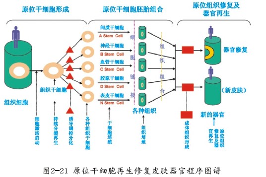不朽情缘(中国)官方网站入口