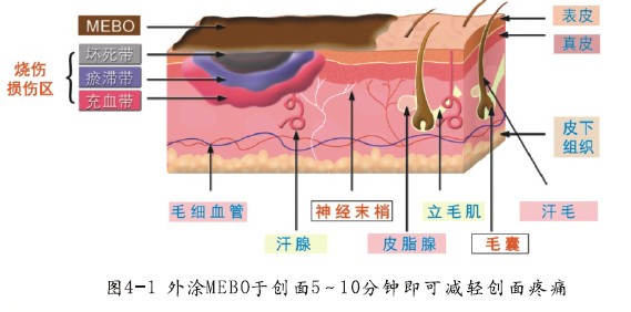 不朽情缘(中国)官方网站入口