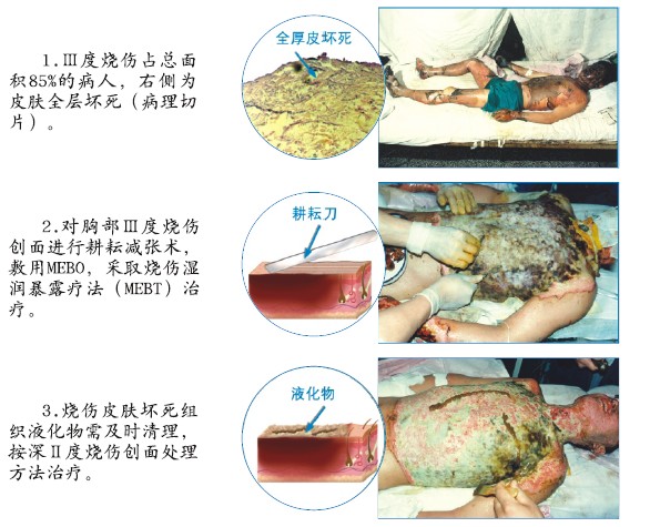 不朽情缘(中国)官方网站入口