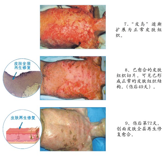 不朽情缘(中国)官方网站入口