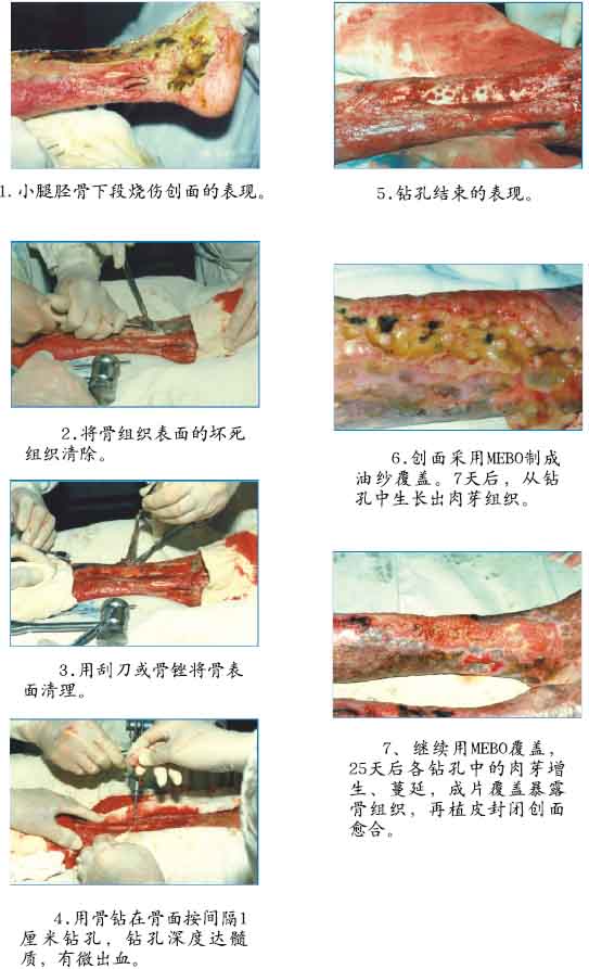 不朽情缘(中国)官方网站入口