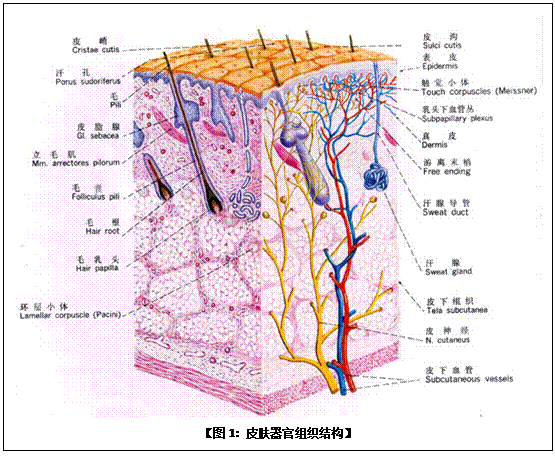 不朽情缘(中国)官方网站入口