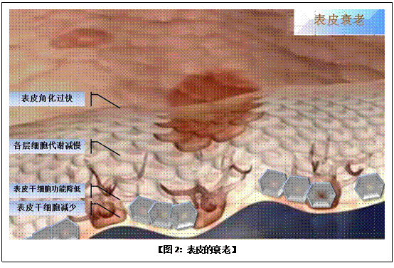 不朽情缘(中国)官方网站入口