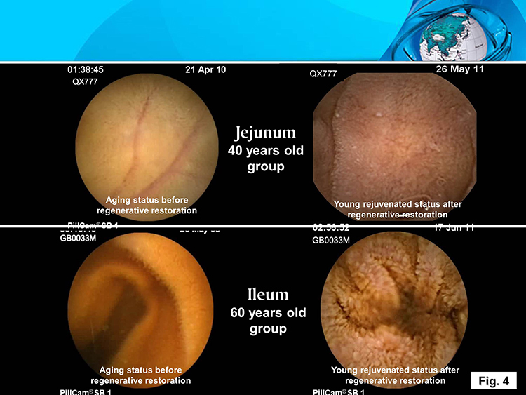 不朽情缘(中国)官方网站入口