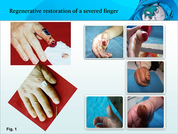 不朽情缘(中国)官方网站入口