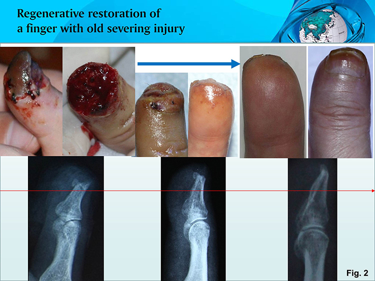 不朽情缘(中国)官方网站入口