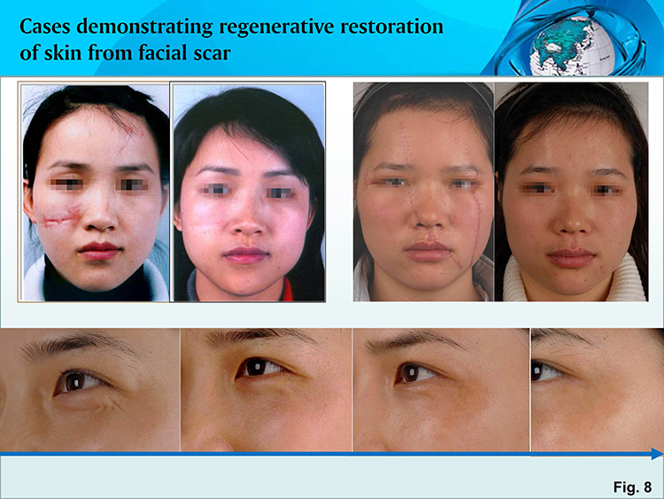 不朽情缘(中国)官方网站入口