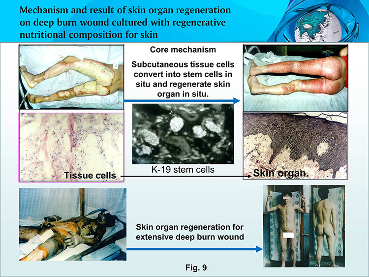 不朽情缘(中国)官方网站入口