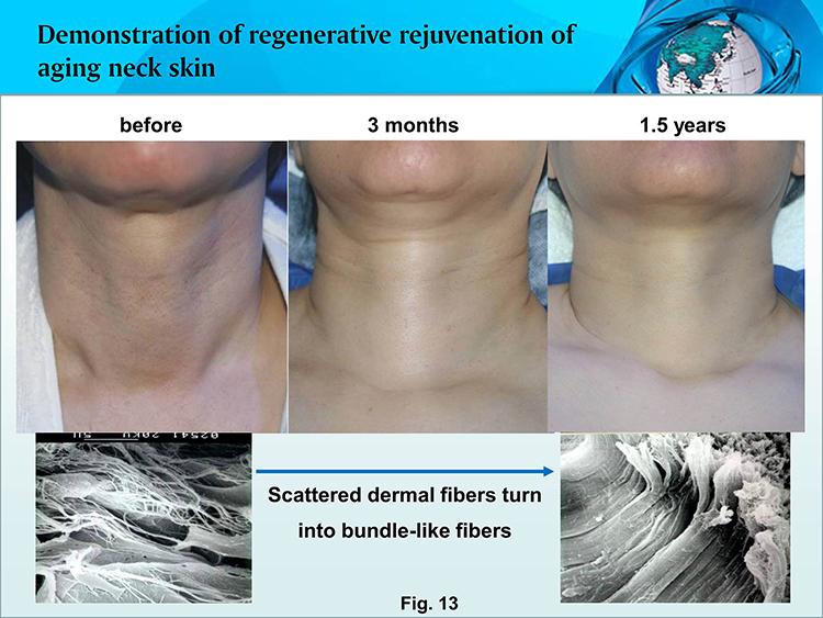 不朽情缘(中国)官方网站入口