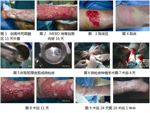 不朽情缘(中国)官方网站入口