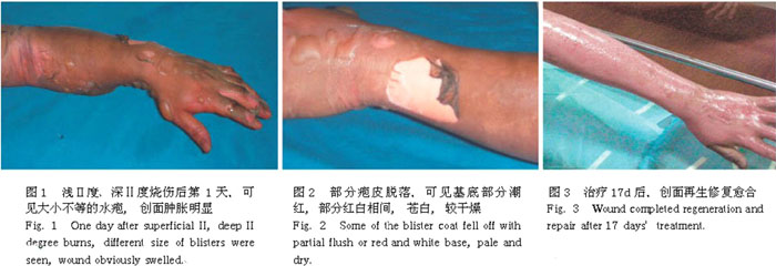 不朽情缘(中国)官方网站入口