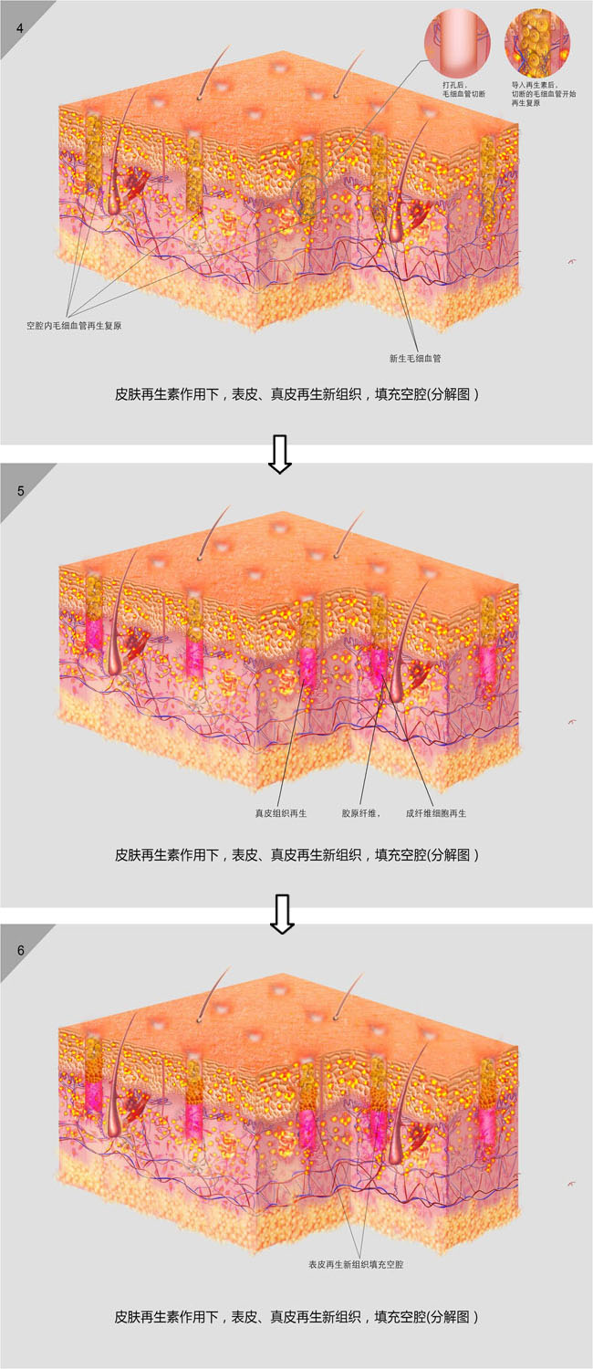 不朽情缘(中国)官方网站入口