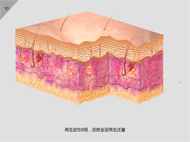 不朽情缘(中国)官方网站入口
