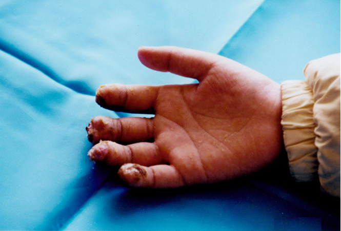 不朽情缘(中国)官方网站入口