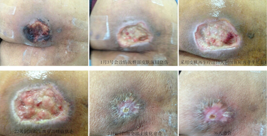 不朽情缘(中国)官方网站入口