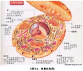 不朽情缘(中国)官方网站入口